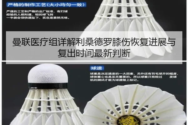 曼联医疗组详解利桑德罗膝伤恢复进展与复出时间最新判断